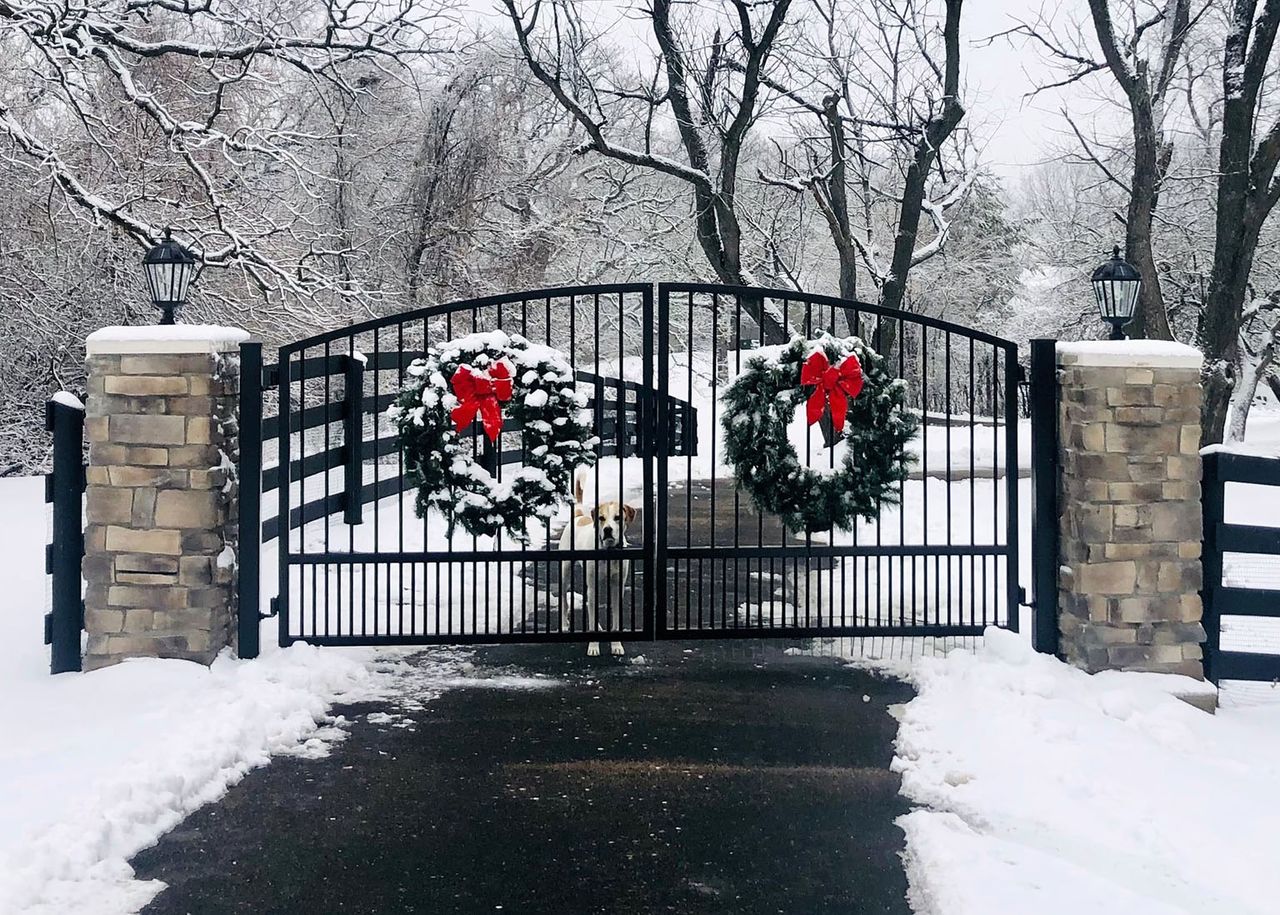 Arched black steel double driveway gate with open upper pickets and close-set lower pickets
